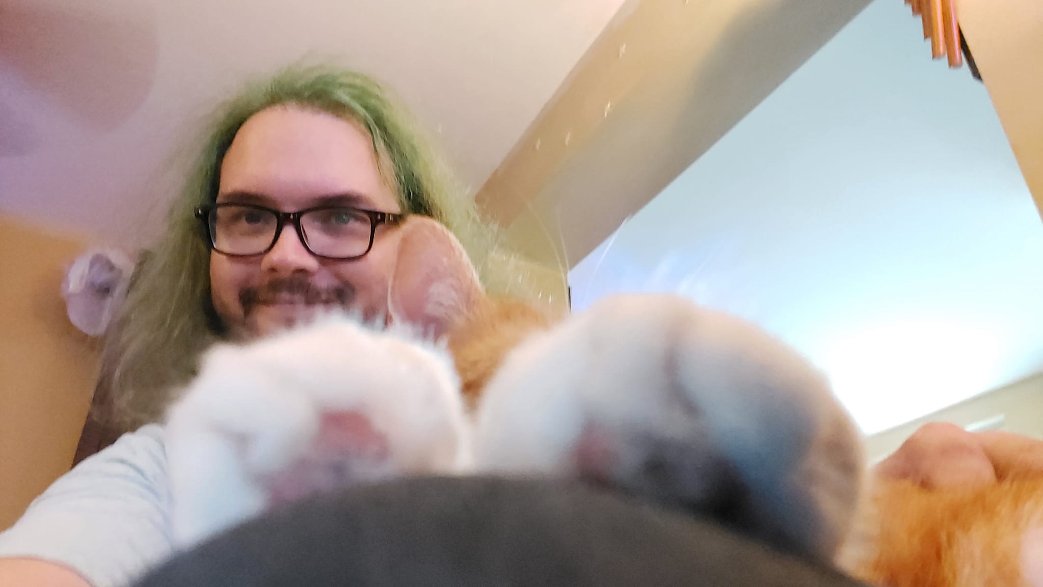 A man with green hair sits in a computer chair inside, with an orange cat in his lap, Photo 4